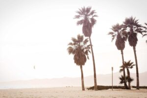 Ade Rai, AI Indonesia Kembangkan Platform Edukasi Kesehatan – Media Indonesia