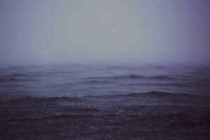 Nutri Level Resmi Diluncurkan di Indonesia – Duta TV