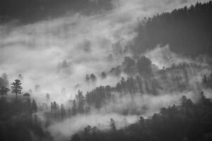 RI Masih Membutuhkan 272 Ribu Dokter, Begini Langkah Konkret Kemenkes – CNBC Indonesia