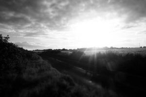 Bos Bio Farma Buka-Bukaan Soal Produk Kesehatan RI – CNBC Indonesia