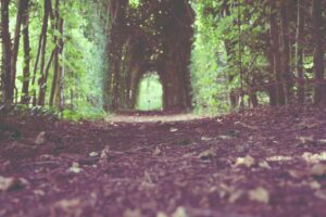 Pekerja Migran Indonesia Wajib Cek Kesehatan, Disnaker Probolinggo Siapkan Sarana Kesehatan – Radar Bromo – Radar Bromo