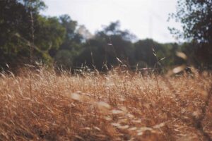 Website Dinas Kesehatan Kota Yogyakarta – Dinas Kesehatan Kota Yogyakarta