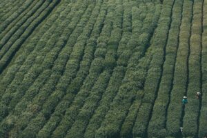 10 Persen Anak di Indonesia Alami Masalah Kesehatan Jiwa, Kasus Percobaan Bunuh Diri Ikut Meningkat – Merdeka.com