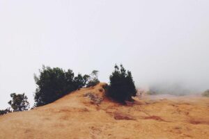 Hari Ginjal Sedunia 2026: Ahli Serukan Deteksi Dini dan Layanan Kesehatan Ramah Lingkungan – Inilah.com