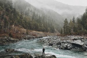 Asuransi Jiwa Siap Hadapi POJK Kesehatan – indonesiakini