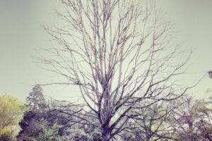 10 Wilayah Paling Berpolusi di Indonesia Malam Ini (21/3) – Databoks