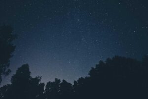 UMM Soroti Peran Tersembunyi Pekerja Sosial Medis dalam Sistem Kesehatan Indonesia – Universitas Muhammadiyah Malang