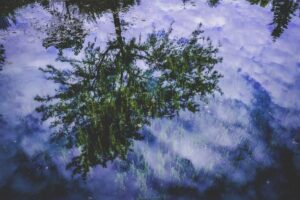 BPOM Raih Status WLA, Taruna Ikrar: Sistem Regulasi Kesehatan Indonesia Diakui Global – SinPo.id