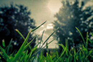 45 Klinik Disiapkan untuk Haji 2026, Skema Layanan Kesehatan Jemaah Diperkuat – HIMPUH