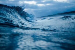 Tak Penuhi Standar Higiene, Ribuan SPPG di Indonesia Timur Dihentikan Sementara – SinPo.id