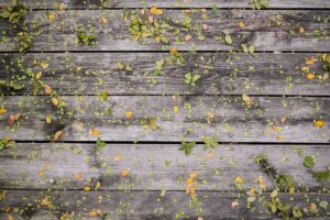 Tren rasio klaim kesehatan di Indonesia mulai membaik secara signifikan sepanjang 2026 – desakarangbendo.id