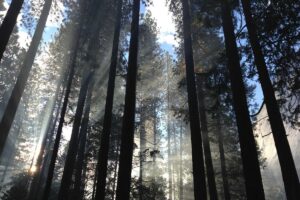 Darya-Varia dan Aski Percepat Adopsi Alkes Digital – investor.id