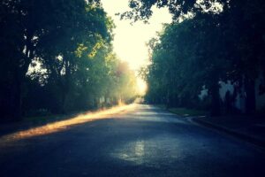 Wamendagri Wiyagus Tekankan Komitmen Pemda Percepat Penuntasan TBC – detikNews