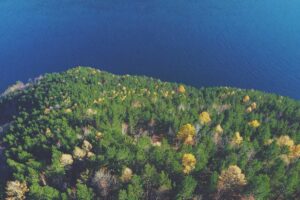 Pelantikan POGI Kaltim 2025-2028 di IKN: Otorita Dorong Standar Kesehatan Ibu & Anak Kelas Dunia – IniBalikpapan.Com