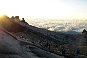 Prodia Ajak Perempuan Indonesia Lebih Berani Deteksi Dini Kesehatan – JPNN.com