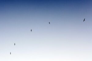 Pemprov Lampung Perkuat Layanan Kesehatan untuk Tekan TBC – Tempo.co